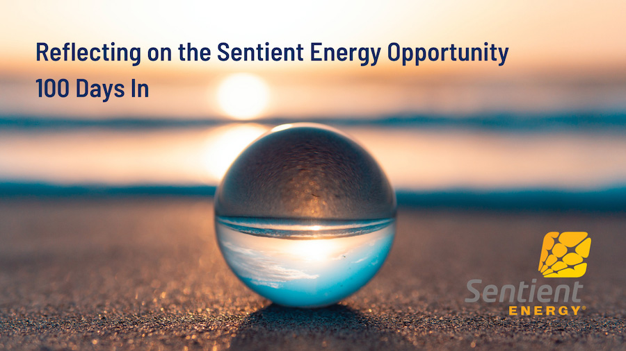 sentient-energy-Bobs 100 Days In blog