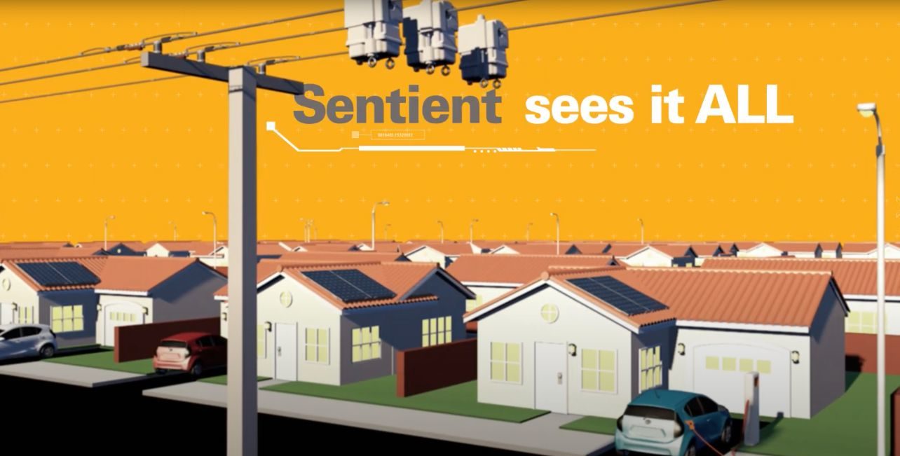 Thumbnail for a video showing power lines in front of houses, with the words "Sentient sees it all".